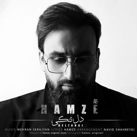 دانلود آهنگ حمزه دل تنگی